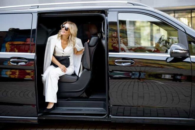 Dublin: Private Chauffeur Tour - Local Insights and Flexibility
