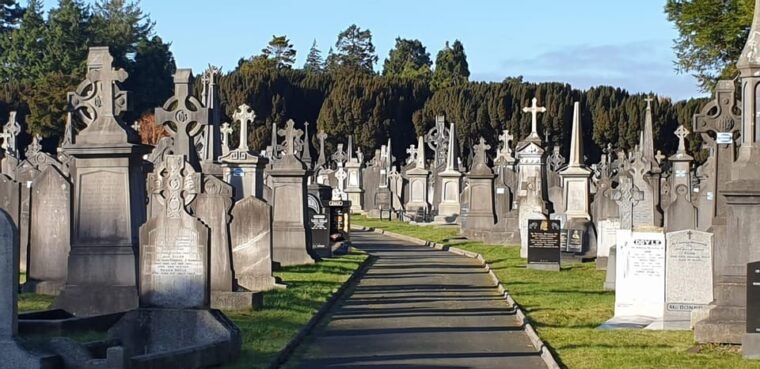 Dublin : Private Sightseeing Tour of Dublin City - Frequently Asked Questions