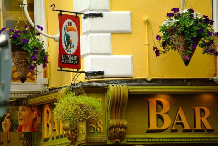 Dublin: Private Stadtführung Auf Deutsch - Experience