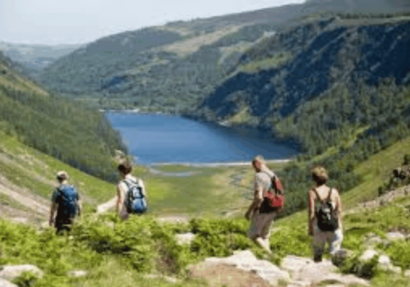 Dublin: Private Tour To wicklow , Glendalough & Powerscourt. - Who Will Love This Tour?
