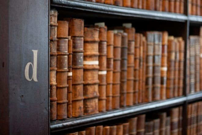 Dublin: St Patricks, Book of Kells, and Dublin Castle Tour - Trinity College and the Book of Kells