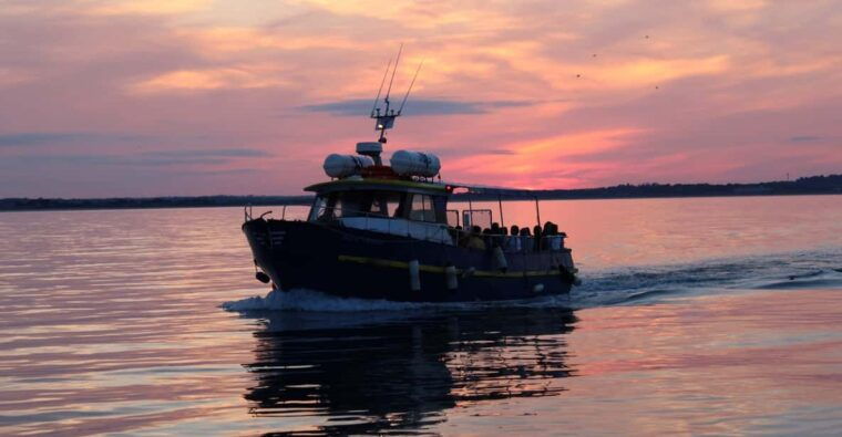 Dublin: Sunset Cruise in Howth - The Experience in Action