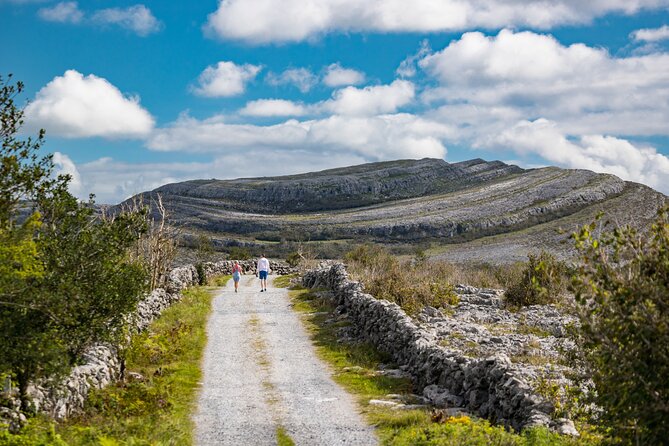 Dublin to Cliffs of Moher and Galway City Private Tour by Car - Cancellation Policy