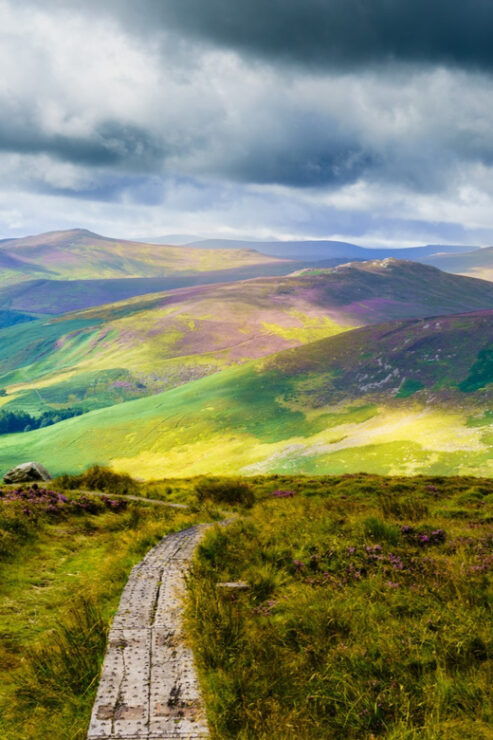 Dublin to County Wicklow & Glendalough Private Trip by Car - Good To Know
