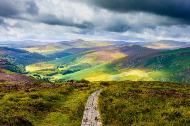 Dublin to County Wicklow & Glendalough Private Trip by Car - Transportation and Guide