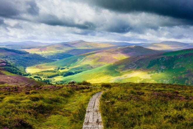 Dublin to County Wicklow & Glendalough Private Trip by Car - Inclusions and Options