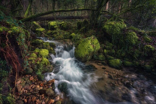 Dublin to County Wicklow & Glendalough Private Trip by Car - Pricing and Availability