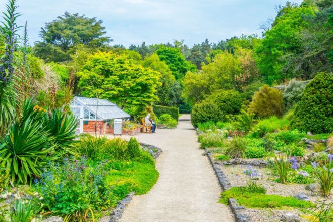 Dublin to Malahide Castle & Gardens Half-Day Trip by Car - Highlights of the Tour