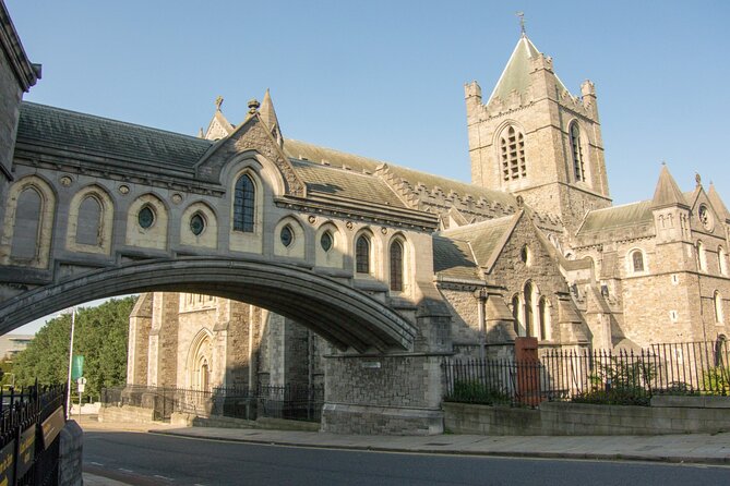 Dublin Top Sights - City of Vikings Historical Walking Tour - Recommendations
