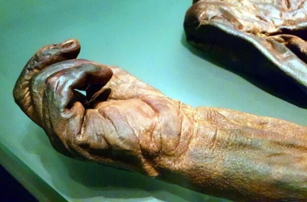 Dublin: Treasures of Ireland Museums Private Tour - Common Questions