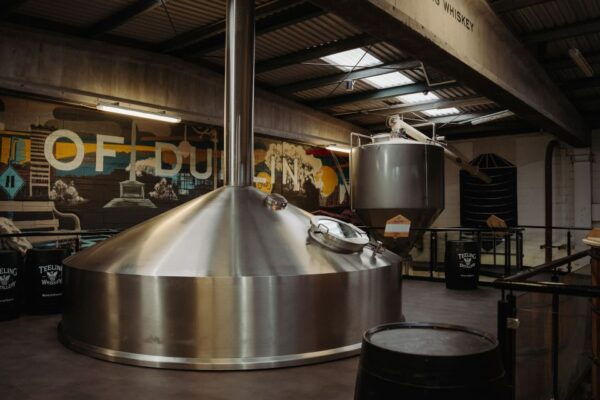 Dublin: Trinity College, Castle, Guinness and Whiskey Tour - The Sum Up