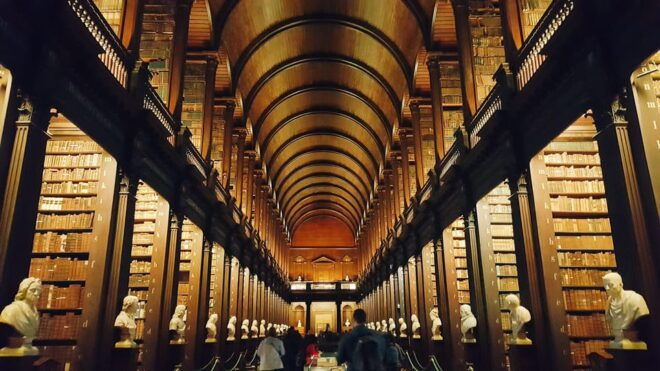 Dublin Walking Tour: 2000 Years of History - Viking Age in Dublin