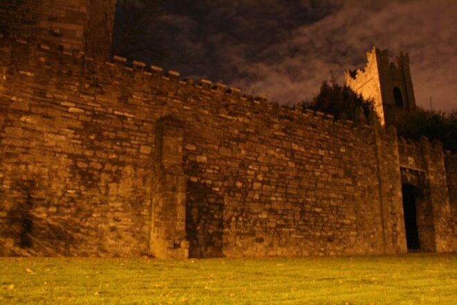 Dublin's Haunted History Walking Tour - Stories of Darkey The Witch Kelly