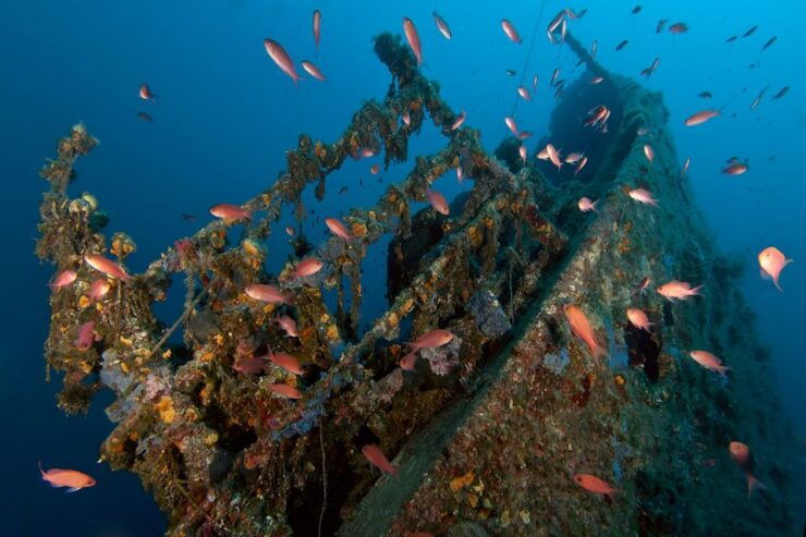 Dubrovnik: 1-Day Diving Package - Good To Know