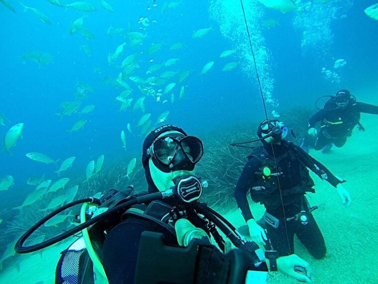 Dubrovnik 2-Hour Uncertified Divers Introductory Dive - Pricing and Value