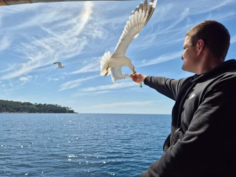 Dubrovnik: 3 Island Boat Tour with Lunch and Guide - Good To Know