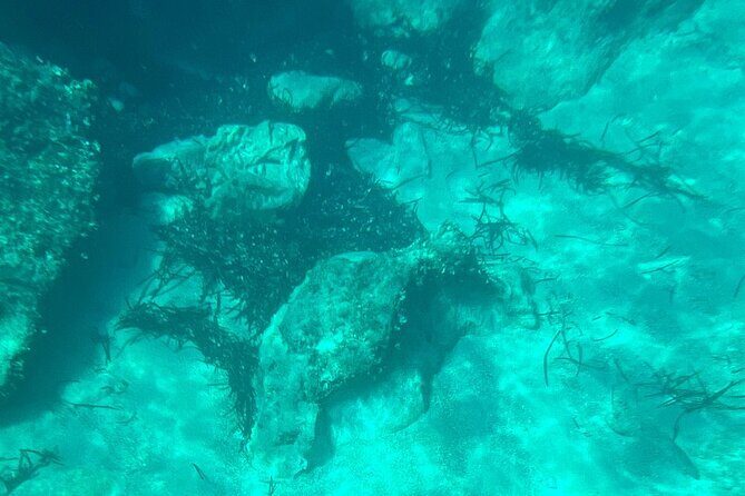 Dubrovnik: Blue Cave & Elaphiti islands & Optional Lunch Onboard - Practical Details That Matter