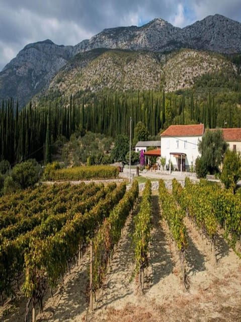 Dubrovnik: Brajković Winery and Ljuta River Tour With … - Wine and Liqueur Tasting