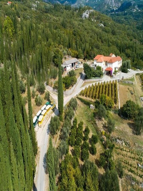 Dubrovnik: Brajković Winery and Ljuta River Tour With … - Booking Information