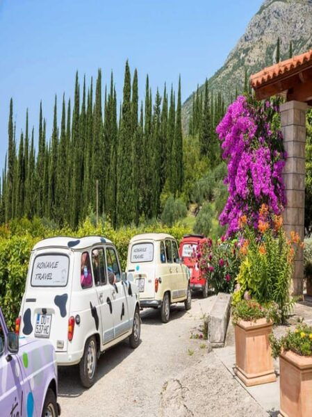 Dubrovnik: Brajković Winery and Ljuta River Tour With … - Tips for Your Visit