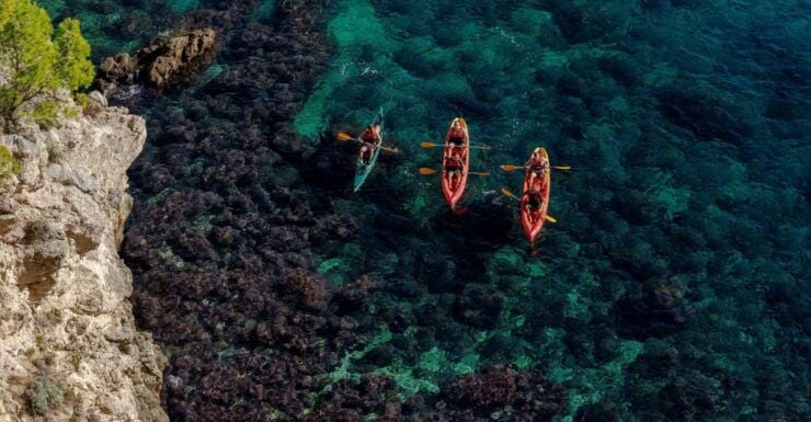 Dubrovnik: Day or Sunset Kayak Tour With Snorkeling & Snack - Experience Highlights