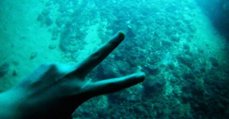 Dubrovnik: Elafiti Islands Private Boat Trip With Drinks - Experience Highlights and Inclusions