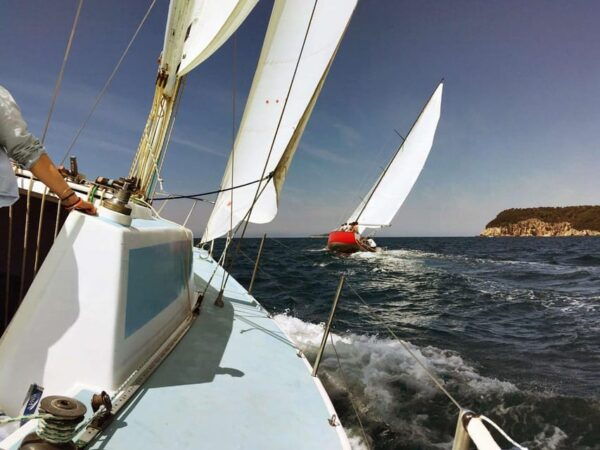 Dubrovnik: Full-Day Sailing Trip to Elafiti Islands - Booking and Cancellation Policy