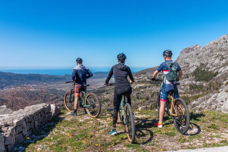 Dubrovnik Guided Private E-bike Tour - Tour Duration and Optional Activities