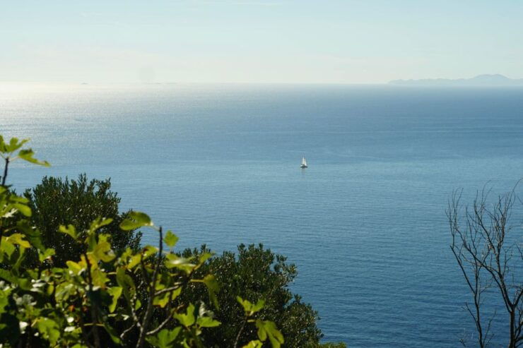 Dubrovnik: Interactive Wine Tour - Tour Details