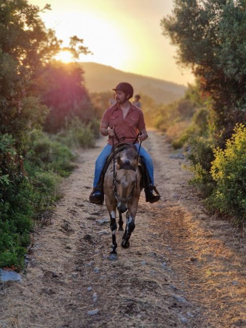 Dubrovnik Kojan Koral: Horseback Riding - Activity Details