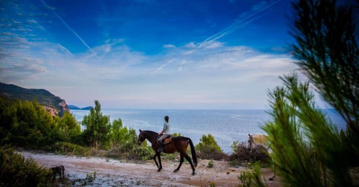 Dubrovnik Kojan Koral: Horseback Riding - Experience Highlights