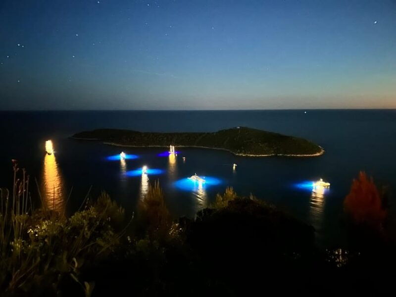 Dubrovnik Night Drive: Lights of the Adriatic - Good To Know