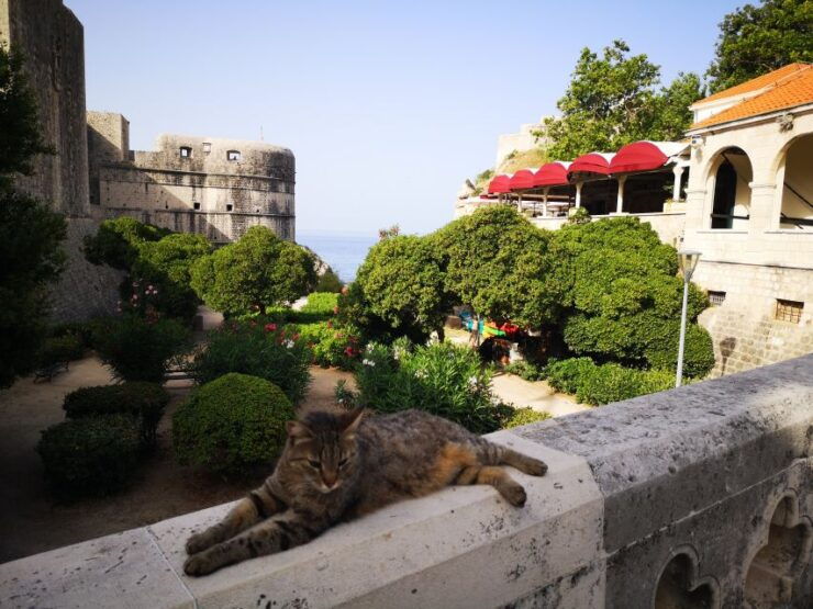 Dubrovnik Old City Private Tour - Highlights of the Tour