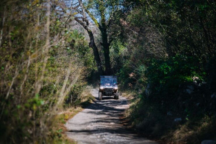 Dubrovnik: Private Panoramic Half-Day Buggy Tour With Brunch - Tour Details