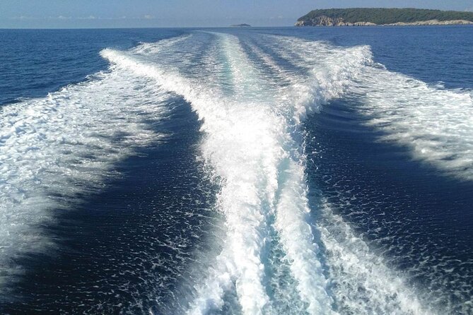 Dubrovnik Private Speed Boat Tour to the Islands - Customer Reviews