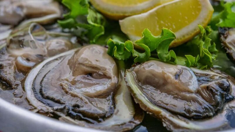 Dubrovnik: Private Tour with Oyster Tasting - Good To Know