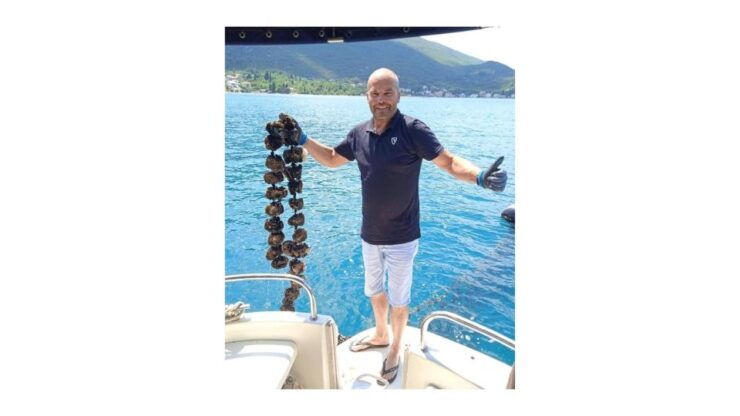 Dubrovnik: Private Transfer to Split With Oyster Tasting - Experience Highlights