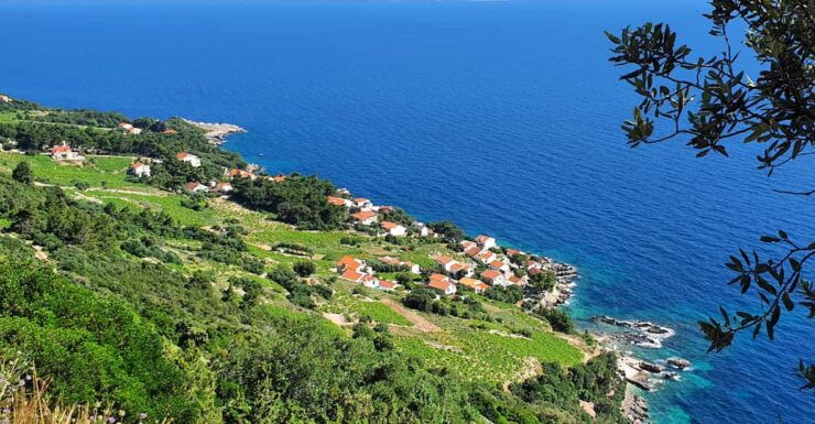 Dubrovnik Private Wine Tasting Tour To Peljesac - Good To Know