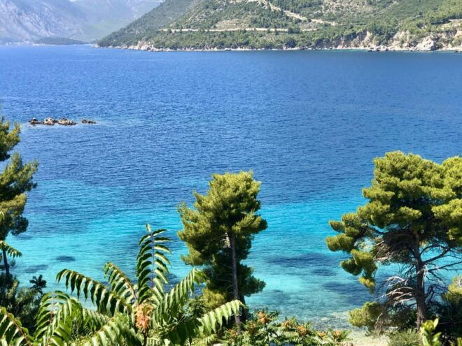 Dubrovnik Private Wine Tasting Tour To Peljesac - Wine Experience