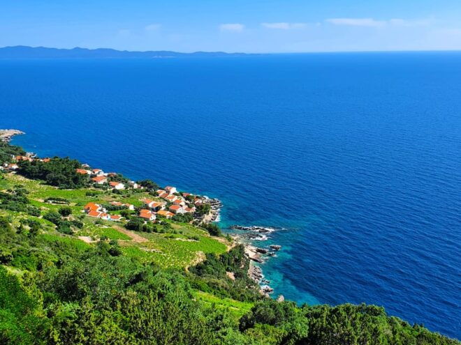 Dubrovnik Private Wine Tasting Tour To Peljesac - Dining Experience