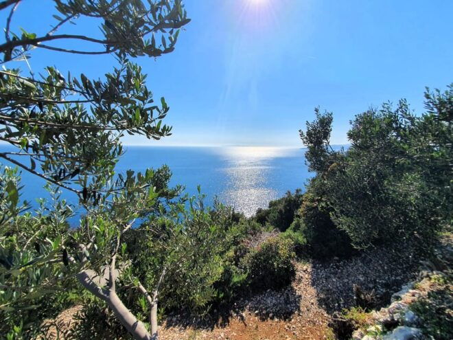 Dubrovnik Private Wine Tasting Tour To Peljesac - Customer Feedback