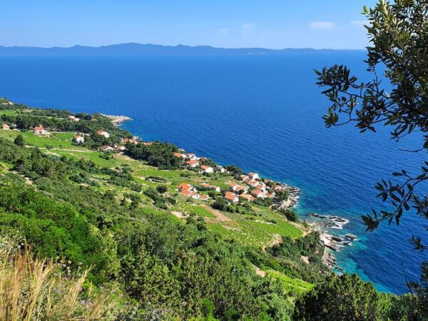 Dubrovnik Private Wine Tasting Tour To Peljesac - Exploring Stons Historic Walls