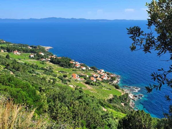 Dubrovnik Private Wine Tasting Tour To Peljesac - Frequently Asked Questions