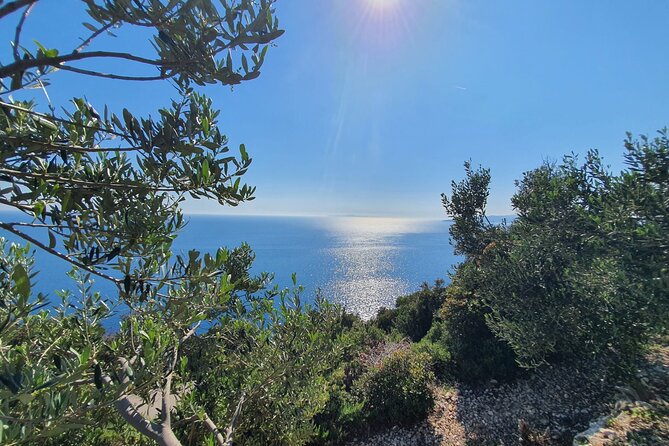 Dubrovnik Private Wine Tasting Tour To Peljesac - Customer Reviews