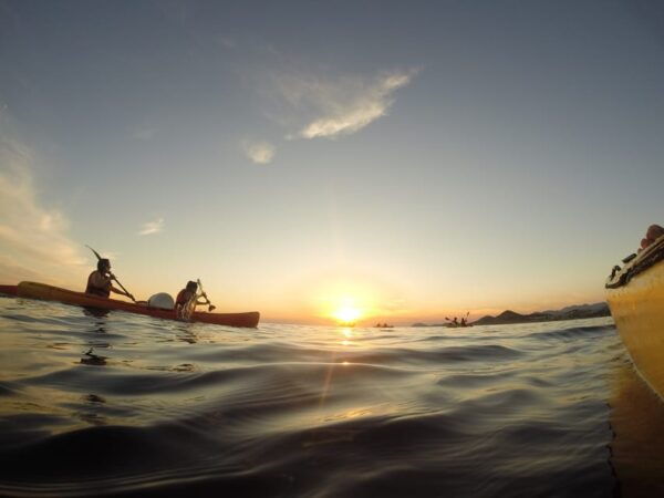 Dubrovnik: Sea Kayaking Morning, Daytime, or Sunset Tours - What to Bring for Your Tour
