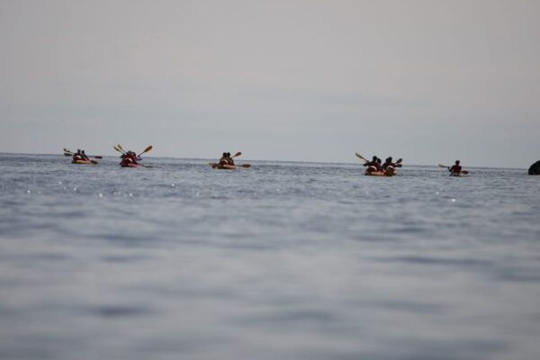 Dubrovnik: Sea Kayaking Morning, Daytime, or Sunset Tours - Frequently Asked Questions
