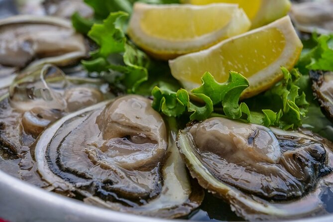 Dubrovnik: Ston Wine and Oyster Tasting - Reserving Your Spot
