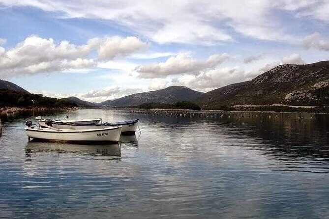 Dubrovnik: Taste of Local Cuisine - Practical Tips for Making the Most of the Tour