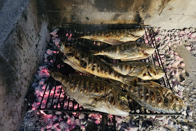 Dubrovnik to Split PRIVATE transfer with GOURMET LUNCH in price - Good To Know