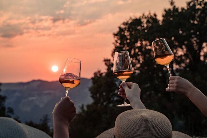 Dubrovnik Walk & Wine: Old Town Walking tour with a Glass of Wine - A Closer Look at the Dubrovnik Walk & Wine Tour